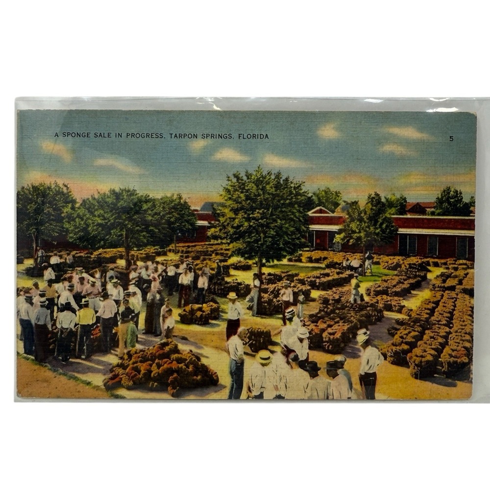 Vintage Linen Postcard Sponge Sale‎ in Tarpon Springs Florida Tichnor Bros